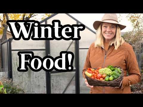 How I Grow Food All Winter | 80% Food Self-Sufficiency