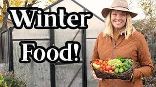 How I Grow Food All Winter | 80% Food Self-Sufficiency