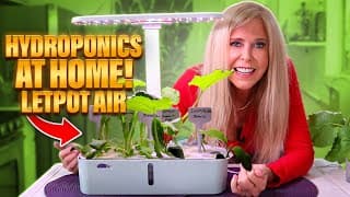 Indoor Hydroponic Gardening Beginners | Grow Lights | Letpot Lph-air Growing | Seed Starter