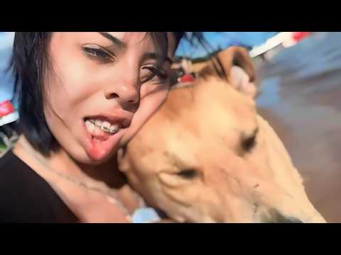 Unusual Memes Compilation V355