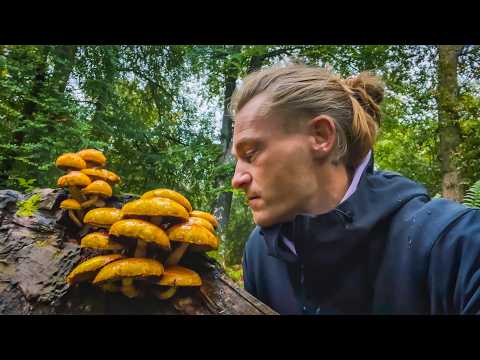 Mushroom Foraging (and Cooking) 🍄
