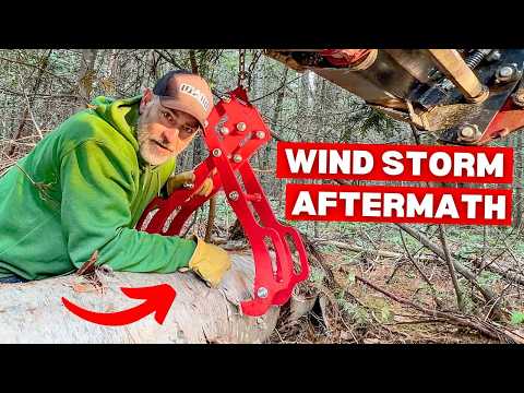 This Wind Storm Tested Everything We Built