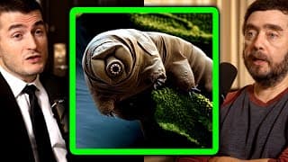 Intelligent Organisms Explained By Biologist | Michael Levin And Lex Fridman