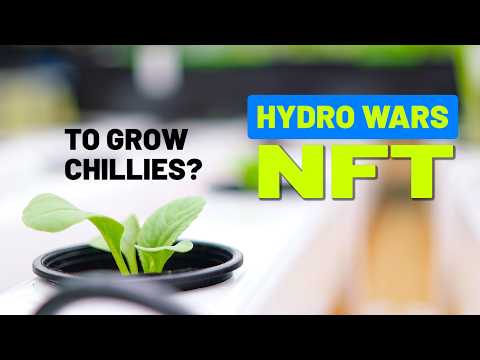 Nft Chilli Peppers? (ep. 3 Hydro Wars )