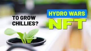 Nft Chilli Peppers? (ep. 3 Hydro Wars )