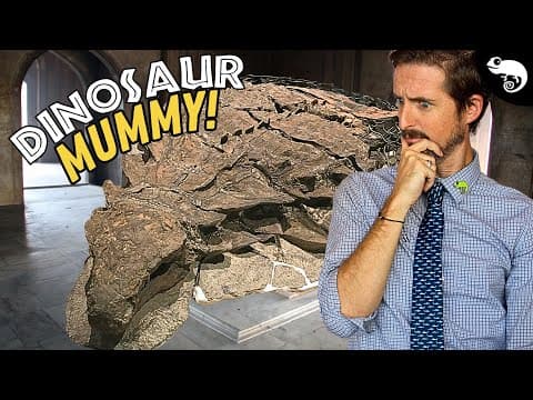 There Are Dinosaur Mummies, And They Are Changing Paleontology Forever!