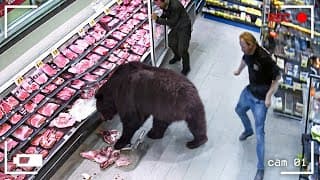 115 Incredible Moments Caught On Cctv Camera