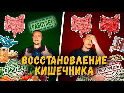 Восстановление Кишечника: Что Реально Работает, А Что — Пустая Трата Денег