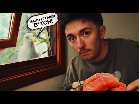 My Pet Seagull Didn't Show Up For A Week!