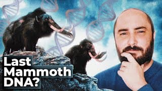The Strange Dna Of The Last Mammoths