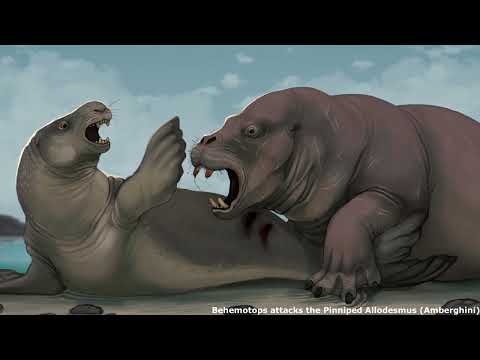 Desmostylians: Bizarre Extinct 'sea Hippos' Of The Pacific