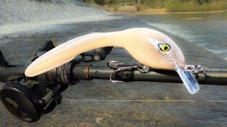 Was This As Seen On Tv Lure Trolling Us?