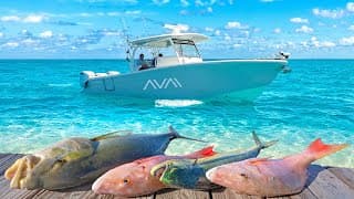 Why We Built A New Boat.. The Hunt For The Perfect Boat Continues!