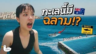 ถิ่นฉลามกัดคน มีจริงหรอ?! | ออสเตรเลีย