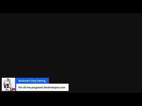 Prince & Duke Fights, Hater Of The Week & More