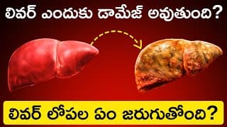 How Human Liver Works In Telugu Badi | Liver Functions, Diseases, Prevention | Clean Your Liver