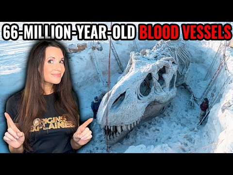 Scientists Could Bring The T. Rex Back From Extinction?