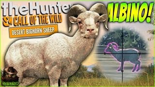New Species! Hunting An Albino Desert Bighorn Sheep! Call Of The Wild