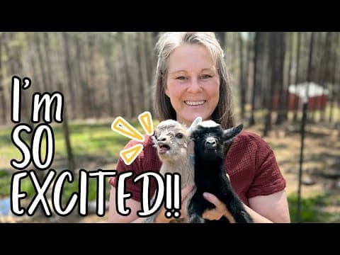 The Baby Goats Are Finally Here!