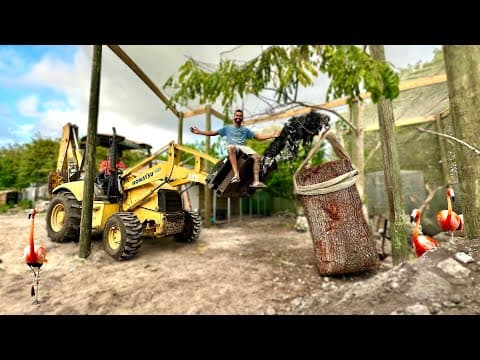 Landscaping The New Aviary? What Did We Get? Pt.4