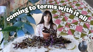 Vlog | Repotting And Cleaning Plant Chores, Finishing A Quilt Top, And Life Chat!