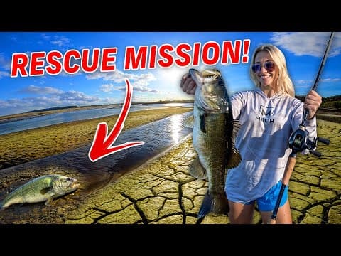 Saving Giant Bass From A Draining Lake!!
