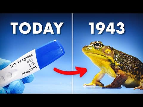 Why Frogs Were Used As Pregnancy Tests