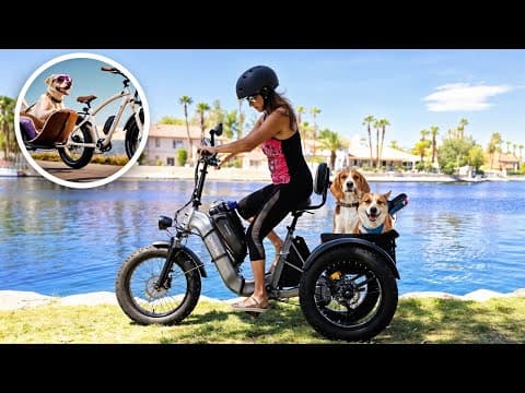 You're In For A Ride: Husky Folding E-trike Unboxing & Review