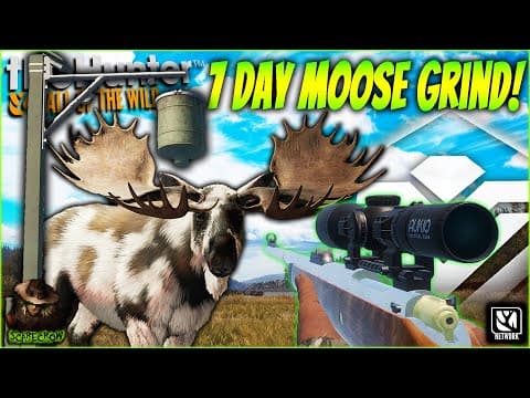 *super Rare* We Hunted Moose For 7 Days & Got A Diamond Piebald At A Feeder! Call Of The Wild