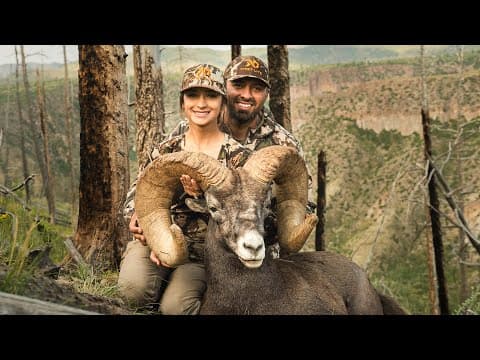 Black Ram || One Of The Biggest Rams Ever Taken By A Female Hunter