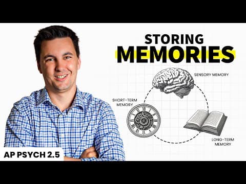 Storing Memories (ap Psychology Review Unit 2 Topic 5)