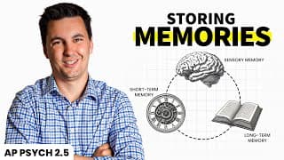 Storing Memories (ap Psychology Review Unit 2 Topic 5)