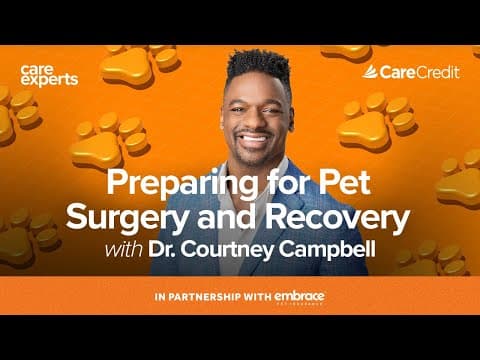 Preparing For Pet Surgery And Recovery With Dr. Campbell | Care Experts By Carecredit​