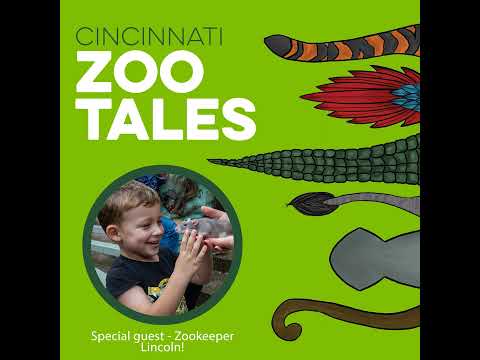 Zookeeper Lincoln – The 4-year-old Animal Expert!