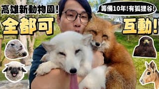 【新開幕】高雄新開幕動物園!全動物可互動?南臺灣第一個狐狸谷！耗時10年!高雄人省100!內門居民免費!兔豚鼠!土撥鼠!笑笑羊!野森動物學校【許伯簡芝】