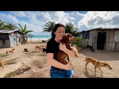 I Traveled 5000 Miles to Save a Dog (Puerto Rico Rescue)