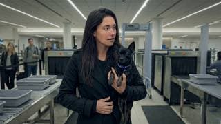 I Traveled 5000 Miles to Save a Dog (Puerto Rico Rescue)