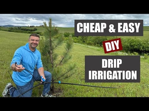 Diy Above Ground Drip Irrigation - The Cheap And Easy Way!