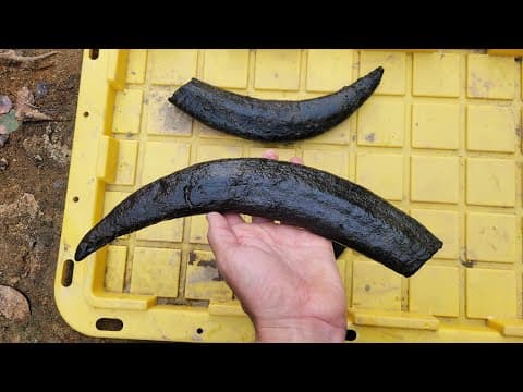 Lucky Fossil Hunter Found Something Incredible