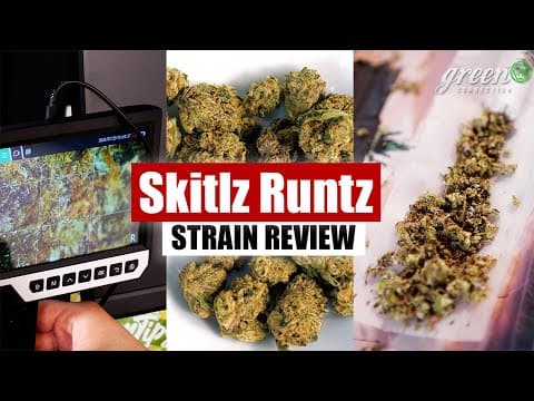 Was Kann Skitlz Runtz ? | Strain Review | Greenconnection