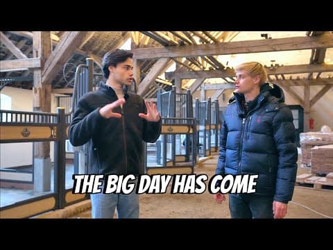 Custom Stable Interiors Installation, We Finally Built Our Dream Barn!