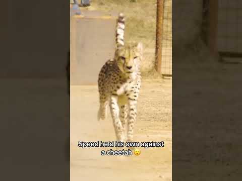 This is WILD! (via @IShowSpeed/TT)