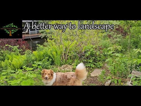 Landscaping Only For Humans? There Is A Better Way.