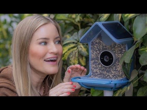 Smart Bird Feeder - The Birdbuddy 2 Review! 🐦‍⬛📷