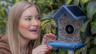 Smart Bird Feeder - The Birdbuddy 2 Review! 🐦‍⬛📷