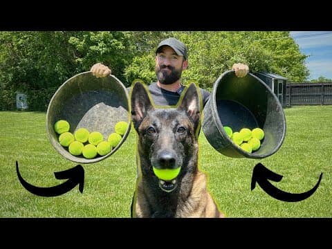 Ultimate Game Of Fetch