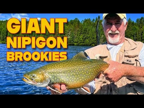 Legendary Nipigon River Brook Trout