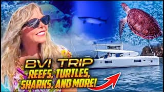Catamaran British Virgin Islands Trip | Turtles, Sharks, Reefs And Nature | Willy T's | Navigare