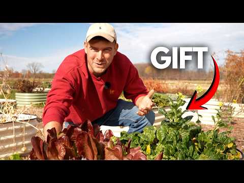 This Was A Gift To Our Garden