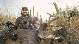 The Oldest Deer On My Farm!